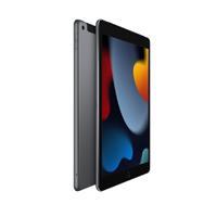 IPAD 10.2 / NOVENA GENERACION / WIFI / 64GB / GRIS ESPACIAL